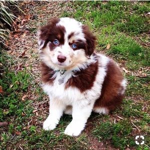 Meet your Posher, Kellisa